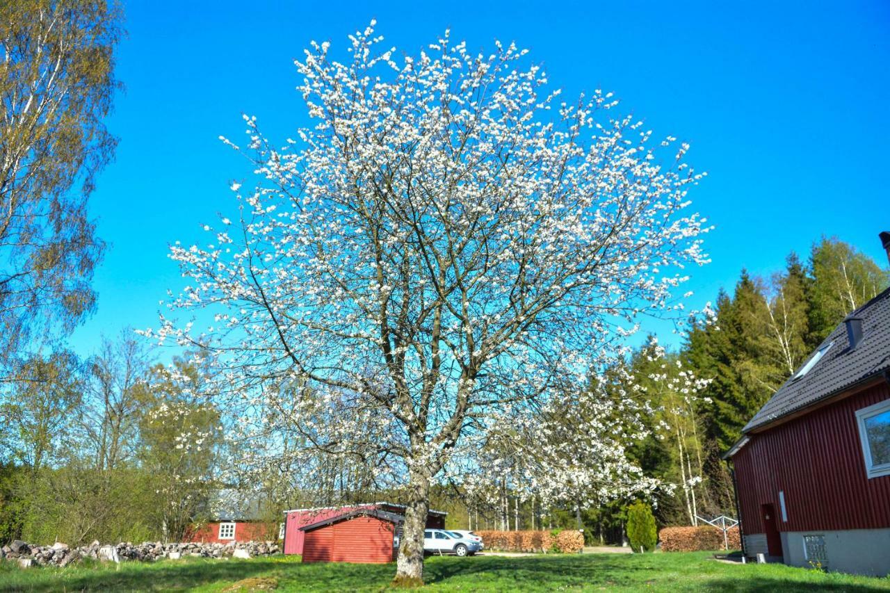 Ullstorps Stugor Hoor Bagian luar foto